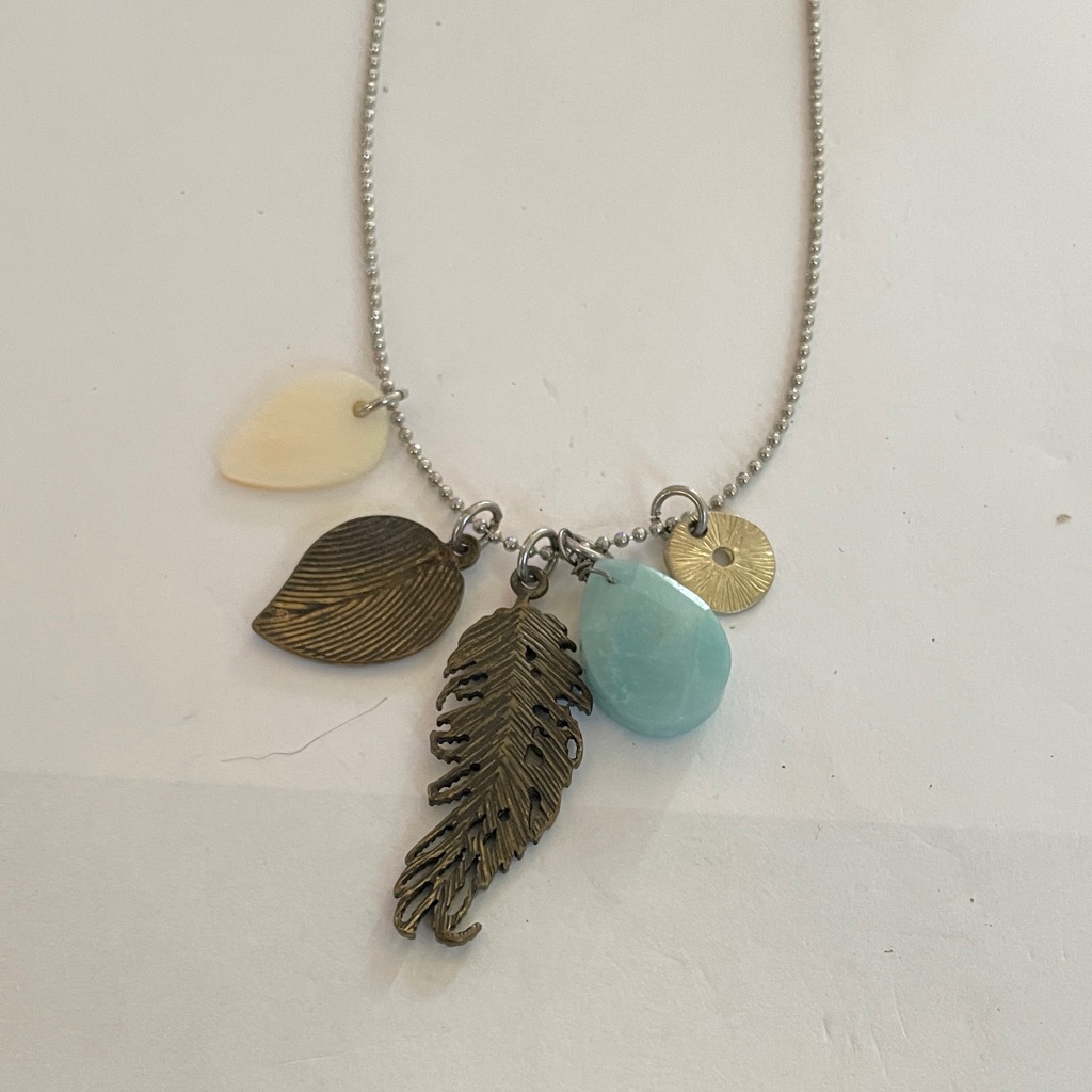 American Eagle Outfitters Silver And Gold Feather Charm Necklace 10$
